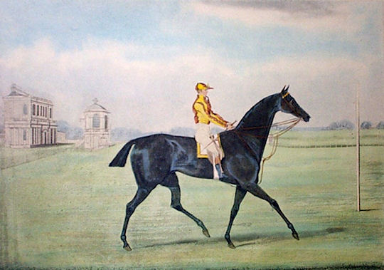 St Leger Winners: St Leger Winner 1824: Jerry